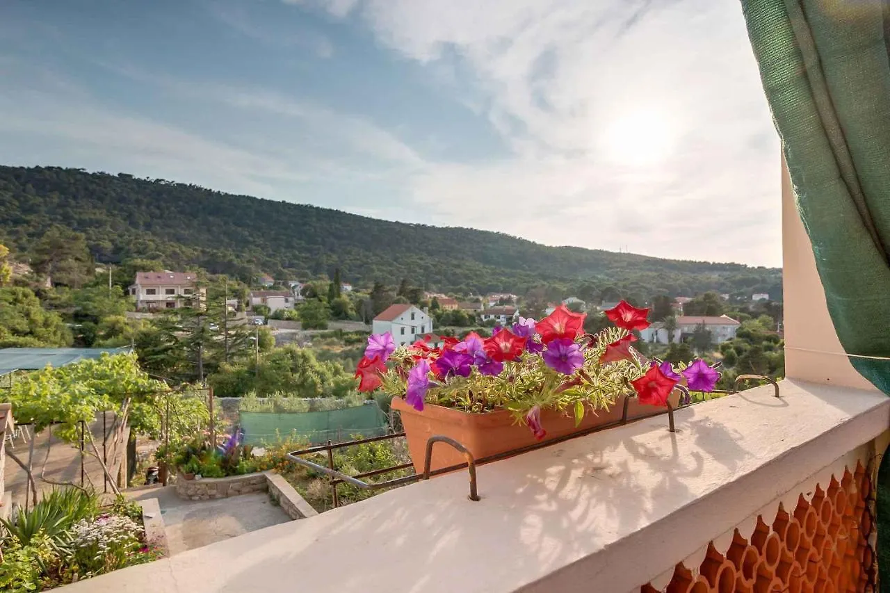 Apartments In Veli Losinj 14929
